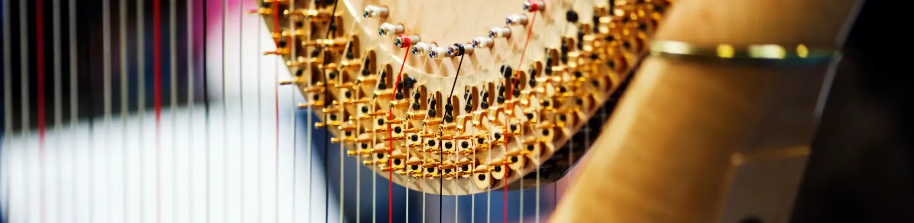 Dettaglio del telaio in legno di un'arpa che mostra i piroli dorati e le corde tese.