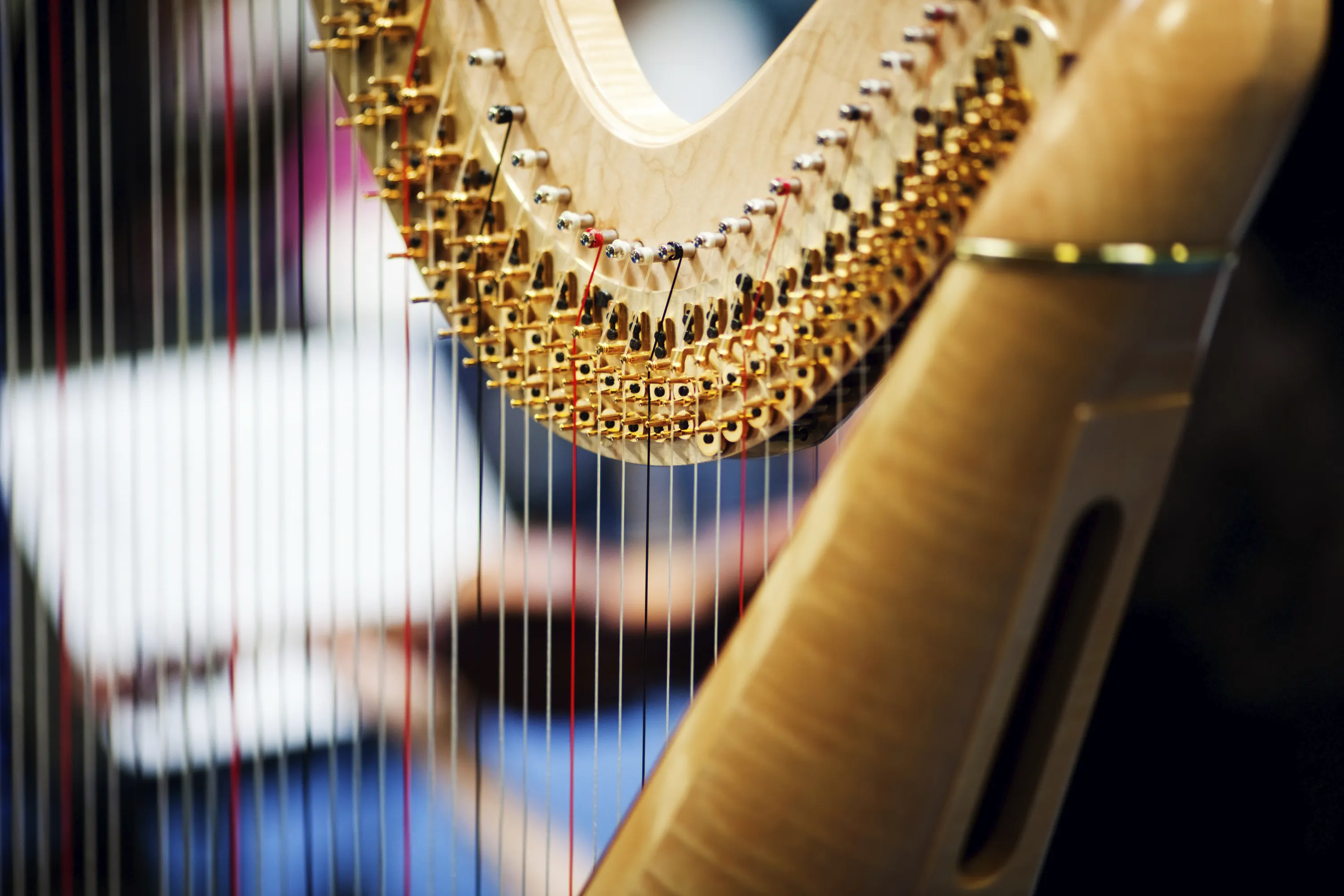 Dettaglio del telaio in legno di un'arpa che mostra i piroli dorati e le corde tese.